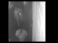 Clarion Borough Police Seeking Information on Vandalism on Main Street