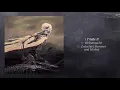 Download Lagu Ellende - Triebe (Full Album)