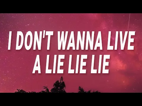 Download MP3 Lay Bankz - I don't wanna live a lie lie lie (Tell Ur Girlfriend) (Lyrics)