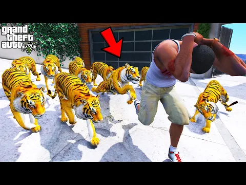 Video Thumbnail: Franklin Trying To Escape 20 Hungry Tigers in GTA 5 | SHINCHAN and CHOP