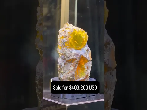 😮 Someone Paid $403,200 for This Jurassic Park Mosquito in Amber Fossil at a Prop Store Auction!