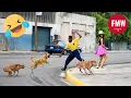Download Lagu Funny \u0026 Hilarious People Life 😆 #484  | TRY NOT TO LAUGH CHALLENGE 😂 | Funny Videos Compilation 2025