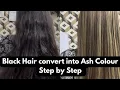 Ash Highlights on Black Hair - Full Tutorial Transformation Professionals Coloring Guide