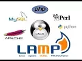Install Local Server LAMP on Linux localhost Apache MySql phpMyAdmin Linux