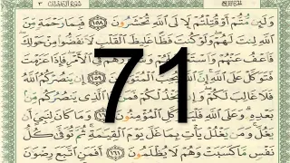 القرآن الكريم الصفحة 71 أيمن سويد 