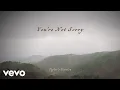 Download Lagu Taylor Swift - You're Not Sorry (Taylor's Version) (Lyric Video)