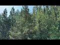 Thompson Falls MT