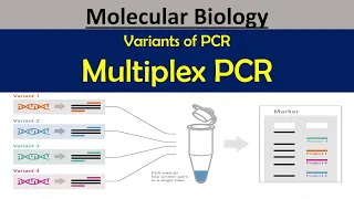 Multiplex PCR (Variants of PCR) #polymerasechainreaction #pkprabhakar