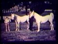 Download Lagu A Look Into The Past--Narrated by Dr. Bob Womack