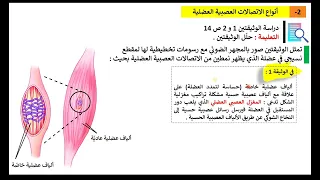 الدرس 2 البنيات التشريحية المتدخلة في المنعكس العضلي الثانية ثانوي ع ت 