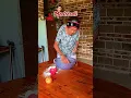 Download Lagu Nenesini Kandırmaya Çalışan Torun 😂