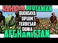Download Lagu Pertanian OPIUM Taliban Afghanistan Terbesar diDunia | Lahan Pertanian Opium Taliban