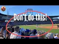 Chicago Cubs Spring Training Travel Guide 5 Money-Saving Tips