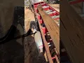 high dollar pecky cypress