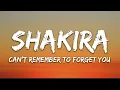 Download Lagu Shakira - Can't Remember to Forget You (Lyrics) ft. Rihanna