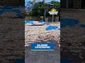 Narragansett deals with a calamari catastrophe