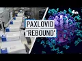 How Long Does Paxlovid COVID Rebound Last What Experts Say on Puzzling Cases NBC New York