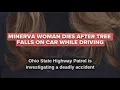 35-year-old woman dead after tree falls on SUV on US Route 30 in Stark County