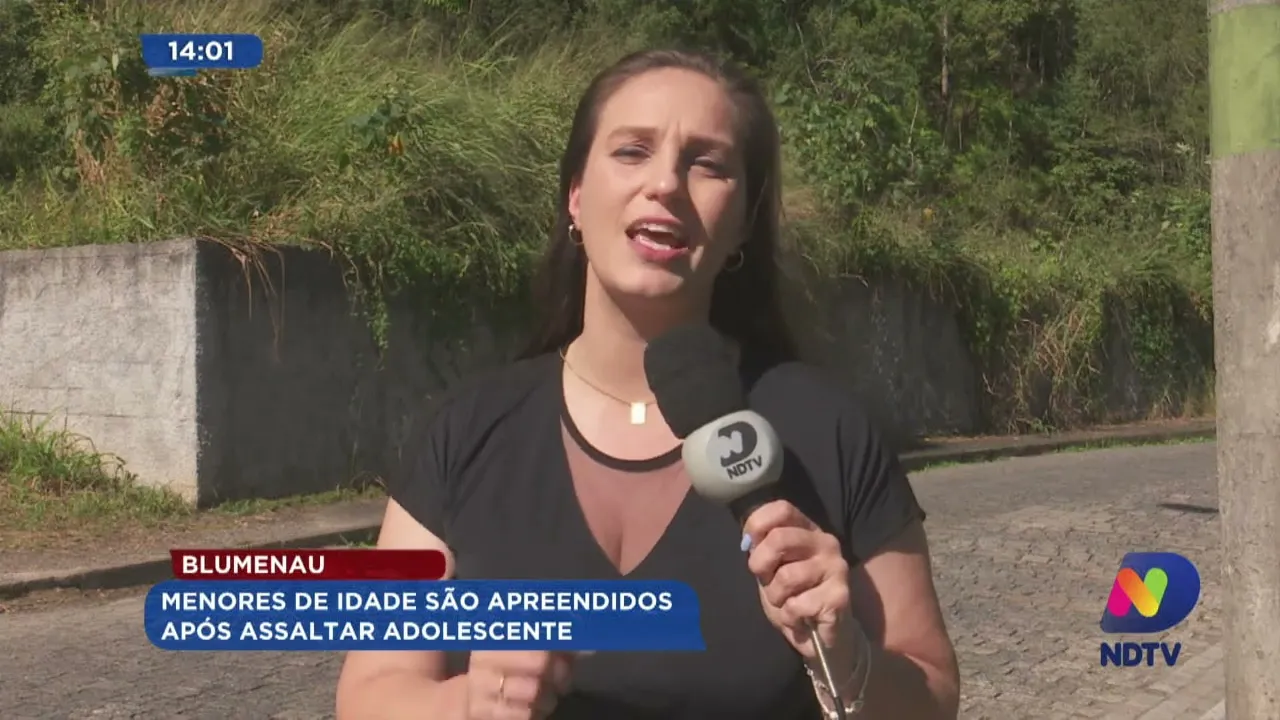 Blumenau: menores de idade são apreendidos após assaltar adolescente