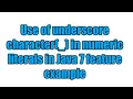 Java 7 feature Underscores in Numeric Literals