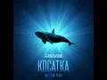 Косатка