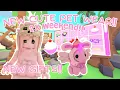 Download Lagu ♡ new pet wear \u0026 gift refresh + 2x weekend \u0026 adopt me birthday update!! roblox adopt me