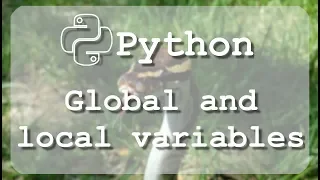 Learn to use Python global and local variables