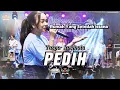 Download Lagu PEDIH ( Rumah Yang Seindah Istana ) TASYA ROSMALA KEHILANGAN -CINTA DAN AIR MATA -FULL ALBUM TERBARU