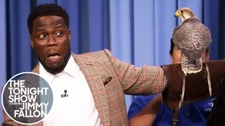 kevin hart is terrified of robert irwins animals