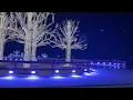 Enchant Christmas Lights San Jose Holiday Ice Skating Winter Lights