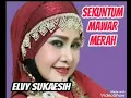 Download Lagu Sekuntum Mawar Merah - ELVY SUKAESIH ( lagu dangdut jadul )