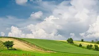 اجمل انشودة ربنا رب القلوب مشاري دندنها