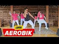 Lagu ZUMBA AEROBIK VIRAL BAKAR LEMAK DAN KALORI