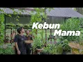 Download Lagu Nanam Sayur di Kebun Mama! | Bluetti