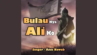 bulau kya ali ko