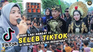 Download MEGANTARA IRINGI SELEB TIKTOK NUFUS DAN TONY DIBANJIRI PENONTON MP3