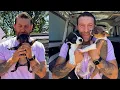 We took in 11 starving puppies from a backyard breeding situation Lee Asher