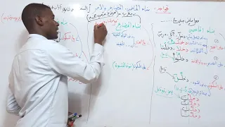 بناء الماضي والمضارع والامر الاولى ثانوي اداب وعلوم 4 متوسط 