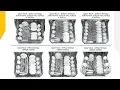 GE GDF500-620 Dishwasher User Manual and FAQs