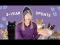 Let s chat about Meowtel cat sitting What I ve earned learned experienced
