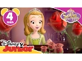 Download Lagu Sofia the First | Mr P | Disney Junior UK
