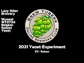 2021 Yeast Experiment - Wyeast WY3724 Belgian Saison