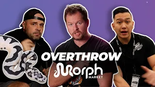MorphMarket OVERTHROWN or Reptile Industry KING