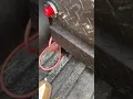 Weather guard Screw weather guard