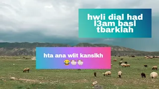 Hwli Basl Had L3am Ttlk Lina F La Cour 