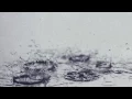 City and Colour - Woman (Lyric Video)