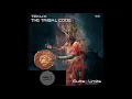 Download Lagu Teklix _ The Tribal Code (Original Mix)