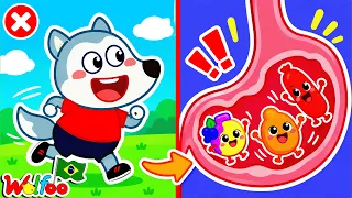 NOVO 🏃‍♂️🤢 Por Que Não Pode Correr Depois de Comer? Dor de Barriga do Wolfoo! Wolfoo em Português