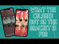 What Are the Little Gems on Braces Brackets
