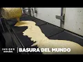 Download Lagu Cómo se hace el cuero vegano con mangos | Basura del mundo